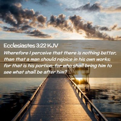 Picture 02 - Ecclesiastes 3:22 KJV - Wherefore I perceive that there is nothing - Bible Verse Picture