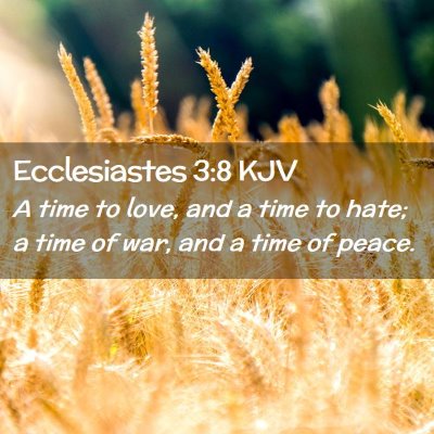 Picture 02 - Ecclesiastes 3:8 KJV - A time to love, and a time to hate; a time of - Bible Verse Picture