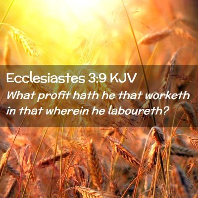 Picture 02 - Ecclesiastes 3:9 KJV - What profit hath he that worketh in that wherein - Bible Verse Picture
