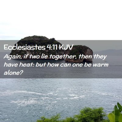Picture 02 - Ecclesiastes 4:11 KJV - Again, if two lie together, then they have heat: - Bible Verse Picture