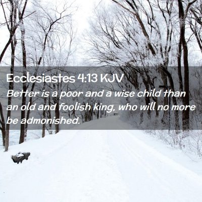 Picture 02 - Ecclesiastes 4:13 KJV - Better is a poor and a wise child than an old and - Bible Verse Picture