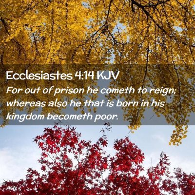 Picture 02 - Ecclesiastes 4:14 KJV - For out of prison he cometh to reign; whereas - Bible Verse Picture