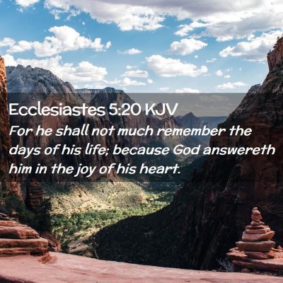 Picture 02 - Ecclesiastes 5:20 KJV - For he shall not much remember the days of his - Bible Verse Picture
