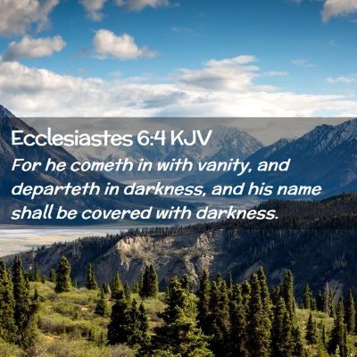 Picture 02 - Ecclesiastes 6:4 KJV - For he cometh in with vanity, and departeth in - Bible Verse Picture