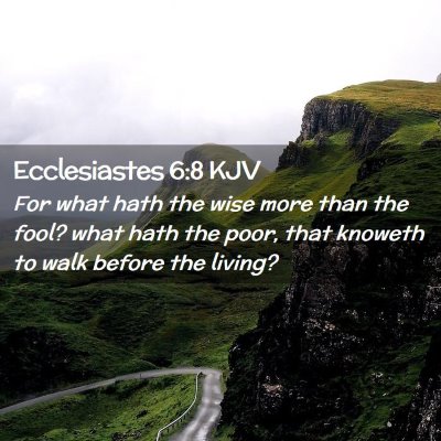 Picture 02 - Ecclesiastes 6:8 KJV - For what hath the wise more than the fool? what - Bible Verse Picture