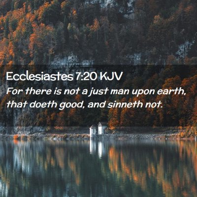 Picture 02 - Ecclesiastes 7:20 KJV - For there is not a just man upon earth, that - Bible Verse Picture