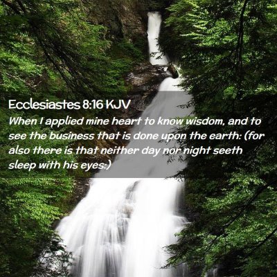 Picture 02 - Ecclesiastes 8:16 KJV - When I applied mine heart to know wisdom, and to - Bible Verse Picture