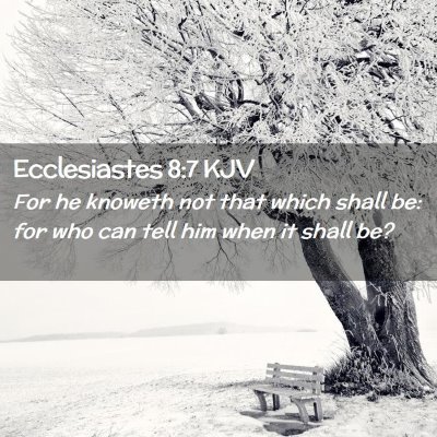 Picture 02 - Ecclesiastes 8:7 KJV - For he knoweth not that which shall be: for who - Bible Verse Picture