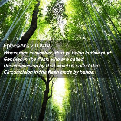 Picture 02 - Ephesians 2:11 KJV - Wherefore remember, that ye being in time past - Bible Verse Picture