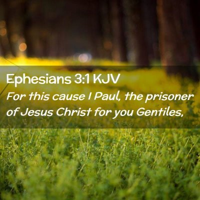 Picture 02 - Ephesians 3:1 KJV - For this cause I Paul, the prisoner of Jesus - Bible Verse Picture