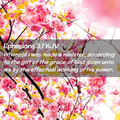 Picture 02 - Ephesians 3:7 KJV - Whereof I was made a minister, according to the - Bible Verse Picture