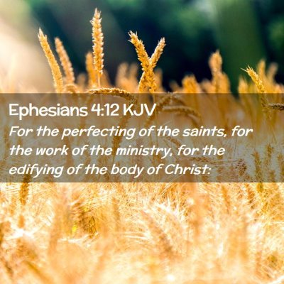 Picture 02 - Ephesians 4:12 KJV - For the perfecting of the saints, for the work of - Bible Verse Picture