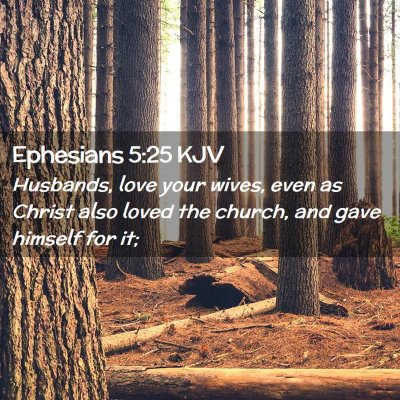 Picture 02 - Ephesians 5:25 KJV - Husbands, love your wives, even as Christ also - Bible Verse Picture