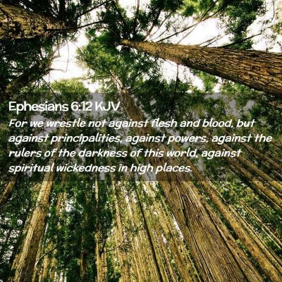 Picture 02 - Ephesians 6:12 KJV - For we wrestle not against flesh and blood, but - Bible Verse Picture