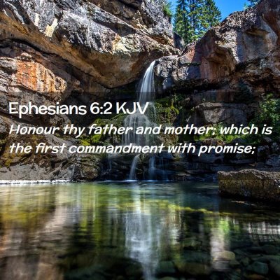 Picture 02 - Ephesians 6:2 KJV - Honour thy father and mother; which is the first - Bible Verse Picture