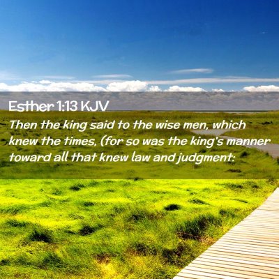 Picture 02 - Esther 1:13 KJV - Then the king said to the wise men, which knew - Bible Verse Picture