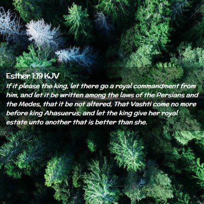 Picture 02 - Esther 1:19 KJV - If it please the king, let there go a royal - Bible Verse Picture