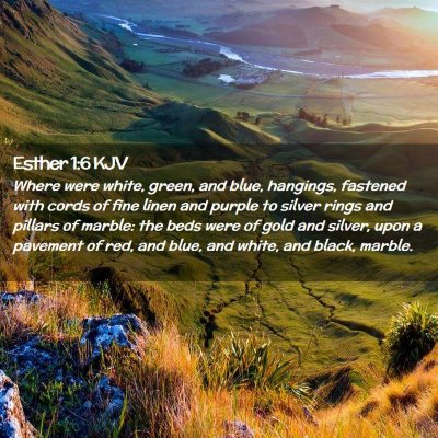 Picture 02 - Esther 1:6 KJV - Where were white, green, and blue, hangings, - Bible Verse Picture