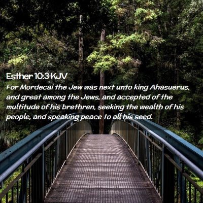 Picture 02 - Esther 10:3 KJV - For Mordecai the Jew was next unto king - Bible Verse Picture