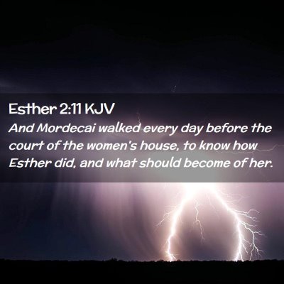 Picture 02 - Esther 2:11 KJV - And Mordecai walked every day before the court of - Bible Verse Picture