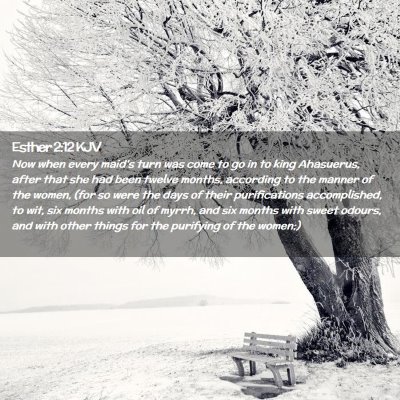Picture 02 - Esther 2:12 KJV - Now when every maid's turn was come to go in to - Bible Verse Picture