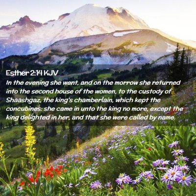 Picture 02 - Esther 2:14 KJV - In the evening she went, and on the morrow she - Bible Verse Picture