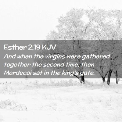 Picture 02 - Esther 2:19 KJV - And when the virgins were gathered together the - Bible Verse Picture