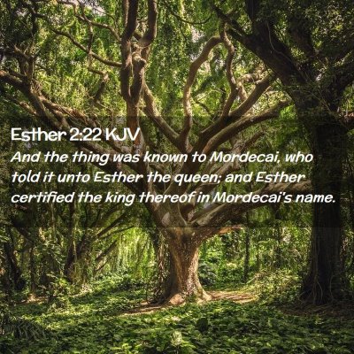 Picture 02 - Esther 2:22 KJV - And the thing was known to Mordecai, who told it - Bible Verse Picture