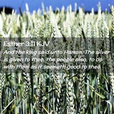 Picture 02 - Esther 3:11 KJV - And the king said unto Haman, The silver is given - Bible Verse Picture