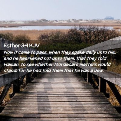 Picture 02 - Esther 3:4 KJV - Now it came to pass, when they spake daily unto - Bible Verse Picture