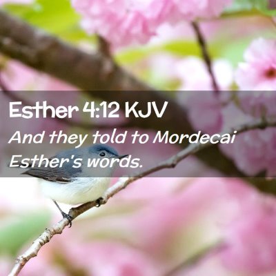 Picture 02 - Esther 4:12 KJV - And they told to Mordecai Esther's - Bible Verse Picture