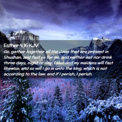 Picture 02 - Esther 4:16 KJV - Go, gather together all the Jews that are present - Bible Verse Picture