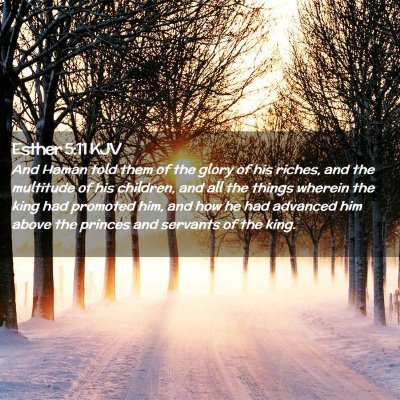 Picture 02 - Esther 5:11 KJV - And Haman told them of the glory of his riches, - Bible Verse Picture
