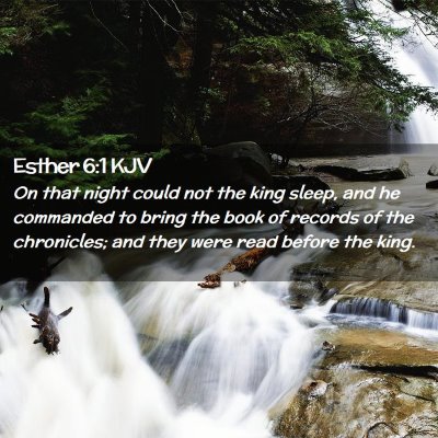 Picture 02 - Esther 6:1 KJV - On that night could not the king sleep, and he - Bible Verse Picture