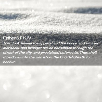 Picture 02 - Esther 6:11 KJV - Then took Haman the apparel and the horse, and - Bible Verse Picture
