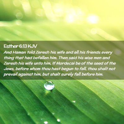 Picture 02 - Esther 6:13 KJV - And Haman told Zeresh his wife and all his - Bible Verse Picture