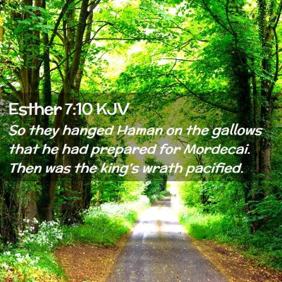 Picture 02 - Esther 7:10 KJV - So they hanged Haman on the gallows that he had - Bible Verse Picture