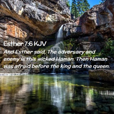 Picture 02 - Esther 7:6 KJV - And Esther said, The adversary and enemy is this - Bible Verse Picture