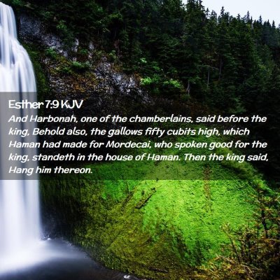 Picture 02 - Esther 7:9 KJV - And Harbonah, one of the chamberlains, said - Bible Verse Picture