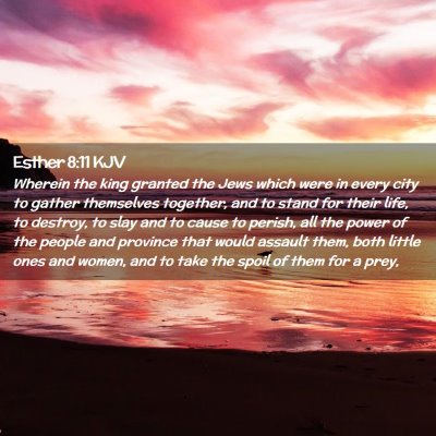 Picture 02 - Esther 8:11 KJV - Wherein the king granted the Jews which were in - Bible Verse Picture