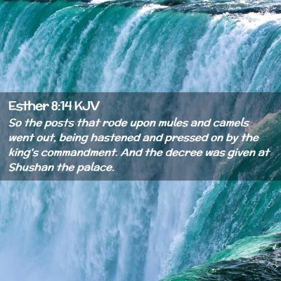 Picture 02 - Esther 8:14 KJV - So the posts that rode upon mules and camels went - Bible Verse Picture