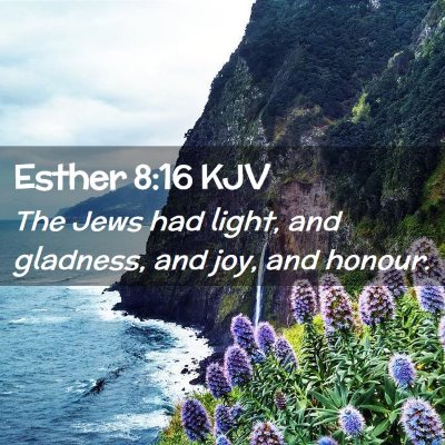 Picture 02 - Esther 8:16 KJV - The Jews had light, and gladness, and joy, and - Bible Verse Picture