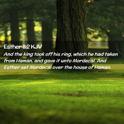 Picture 02 - Esther 8:2 KJV - And the king took off his ring, which he had - Bible Verse Picture