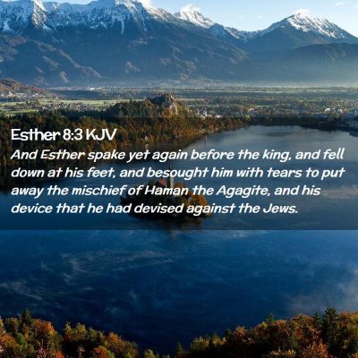 Picture 02 - Esther 8:3 KJV - And Esther spake yet again before the king, and - Bible Verse Picture