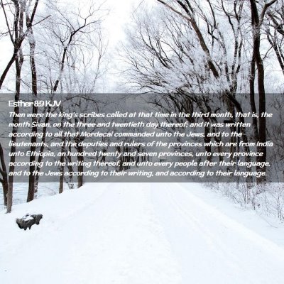 Picture 02 - Esther 8:9 KJV - Then were the king's scribes called at that time - Bible Verse Picture