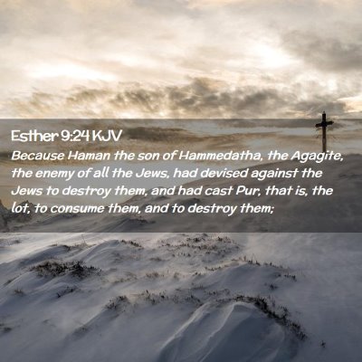 Picture 02 - Esther 9:24 KJV - Because Haman the son of Hammedatha, the Agagite, - Bible Verse Picture