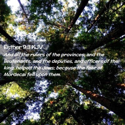 Picture 02 - Esther 9:3 KJV - And all the rulers of the provinces, and the - Bible Verse Picture