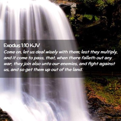 Picture 02 - Exodus 1:10 KJV - Come on, let us deal wisely with them; lest they - Bible Verse Picture