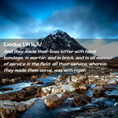 Picture 02 - Exodus 1:14 KJV - And they made their lives bitter with hard - Bible Verse Picture