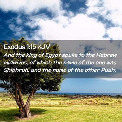 Picture 02 - Exodus 1:15 KJV - And the king of Egypt spake to the Hebrew - Bible Verse Picture